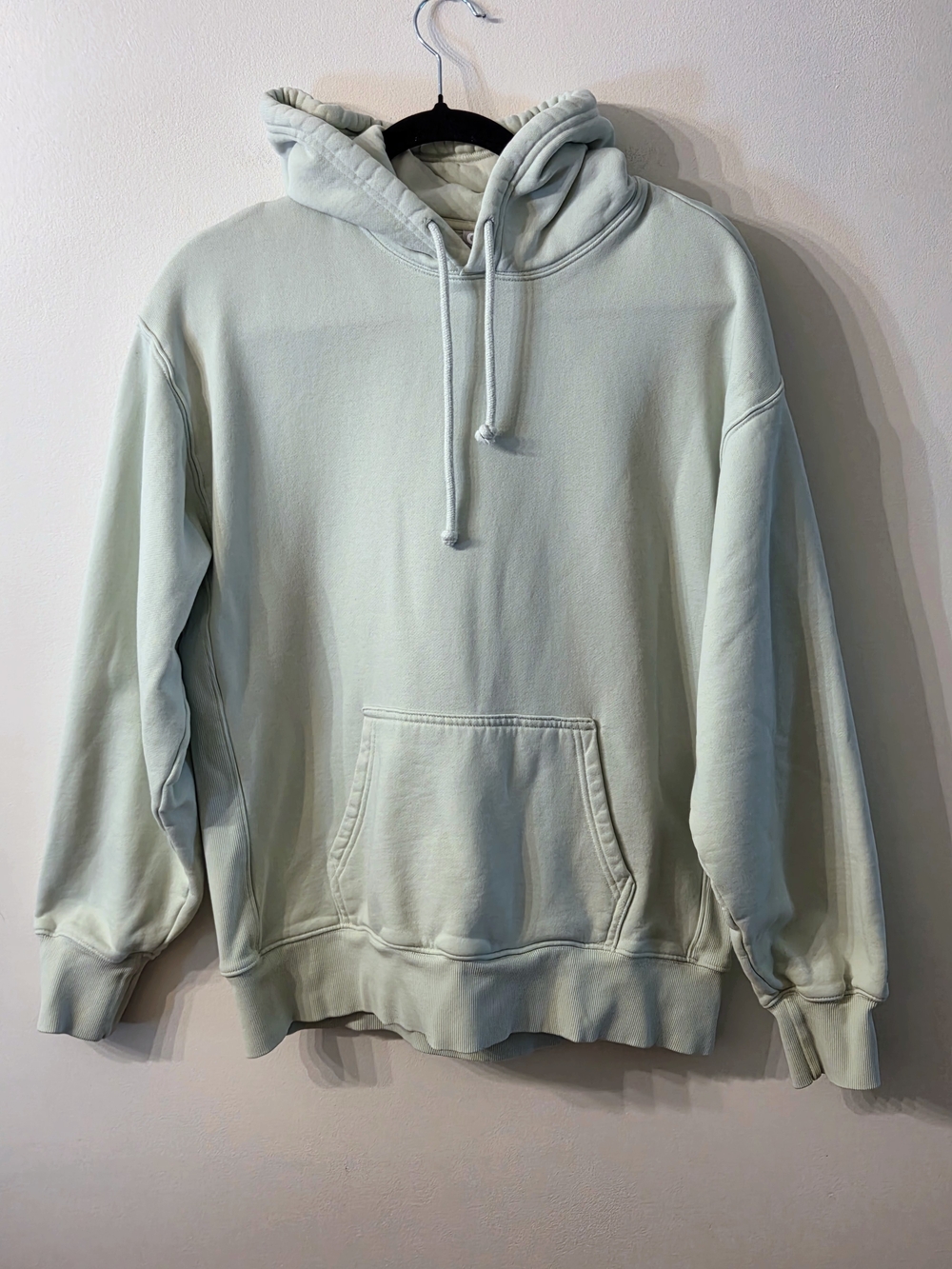 TNA Aritzia Cozy Fleece Boyfriend Hoodie in Light Mint